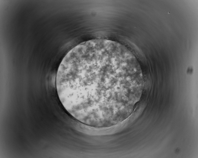 X0000103410047200810241218