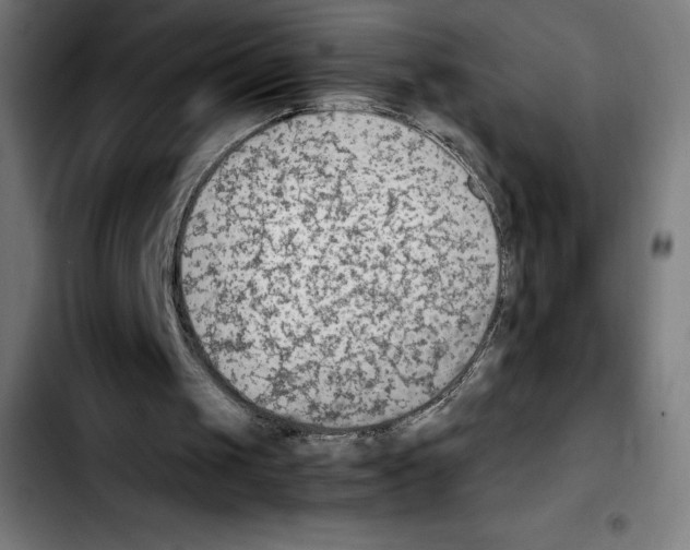 X0000103410049200810241218