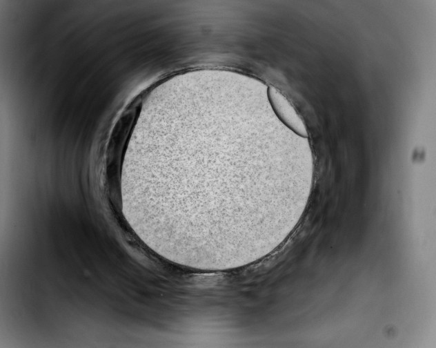 X0000103410050200810241218