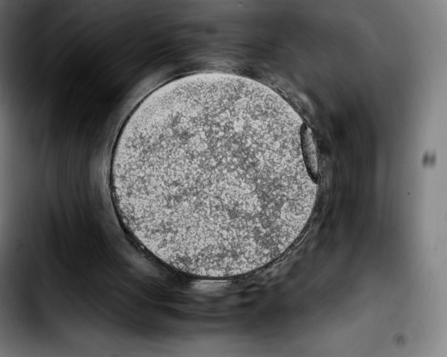 X0000103410051200810241218