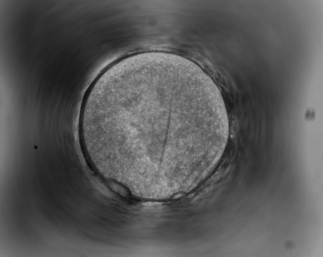 X0000103410052200810241218