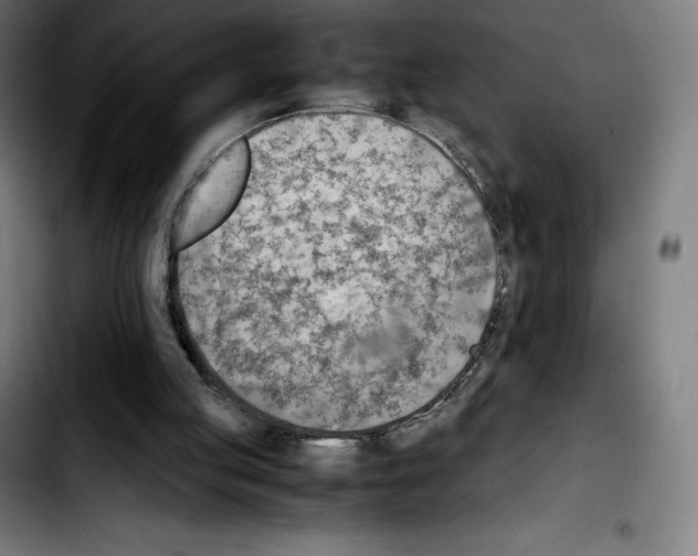 X0000103410053200810241218