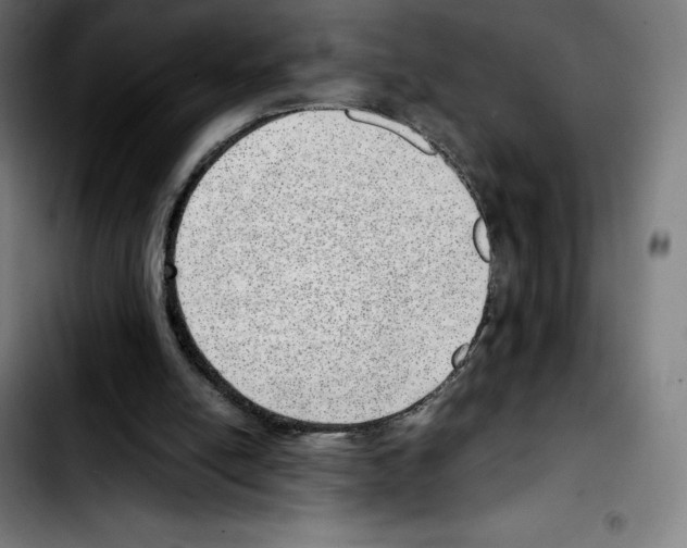 X0000103410054200810241218