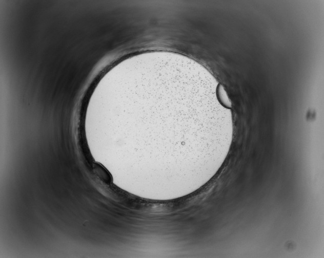 X0000103410056200810241218