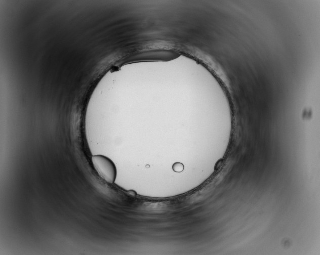 X0000103410057200810241218