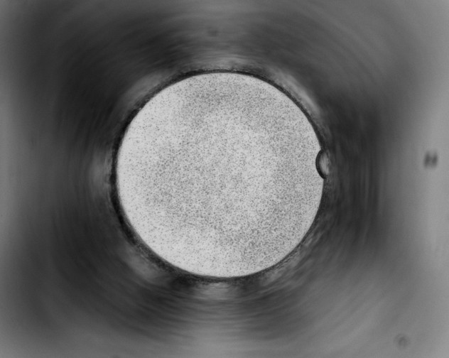 X0000103410058200810241218