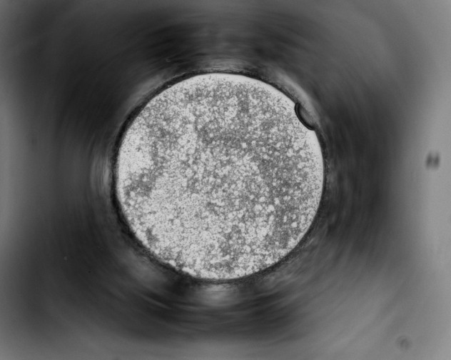 X0000103410059200810241218