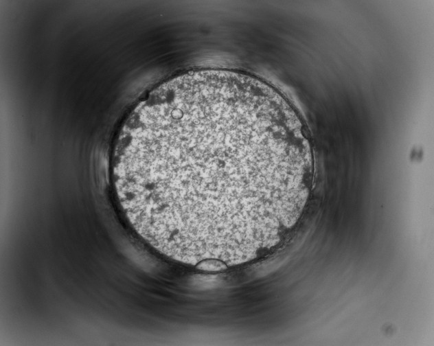 X0000103410061200810241218