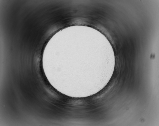 X0000103410063200810241218