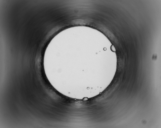 X0000103410064200810241218