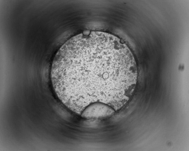 X0000103410065200810241218