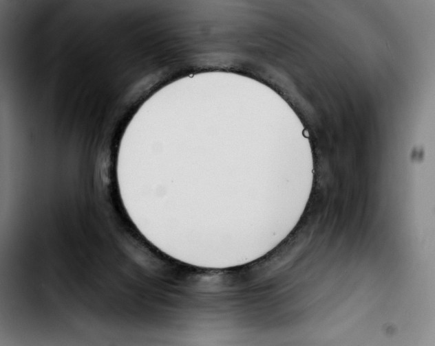 X0000103410068200810241218