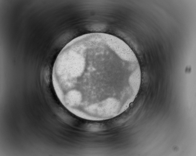 X0000103410069200810241218