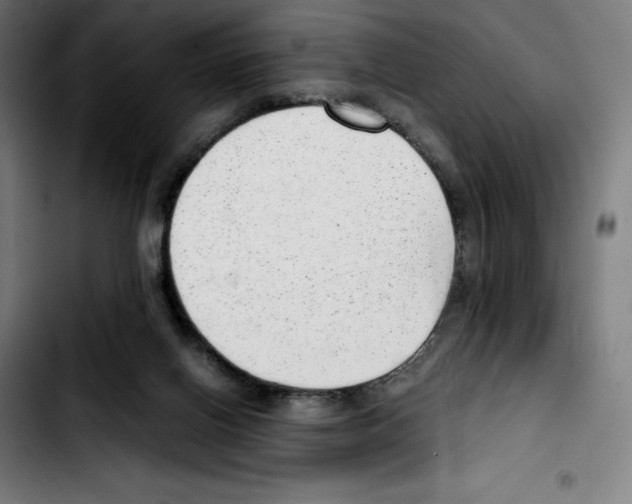 X0000103410070200810241218