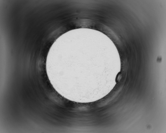 X0000103410073200810241218