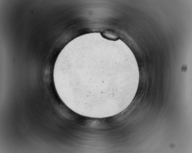 X0000103410074200810241218