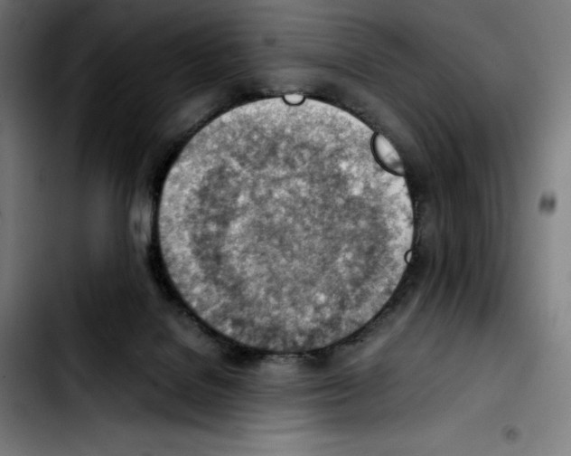 X0000103410076200810241218