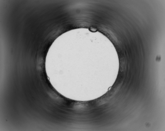 X0000103410077200810241218