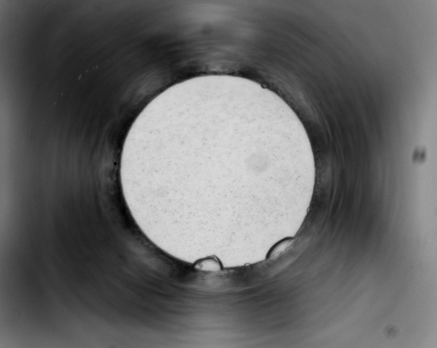 X0000103410078200810241218