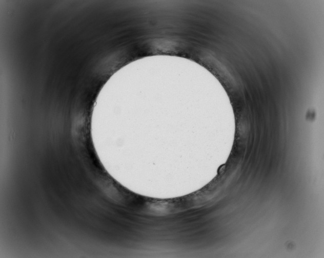 X0000103410079200810241218