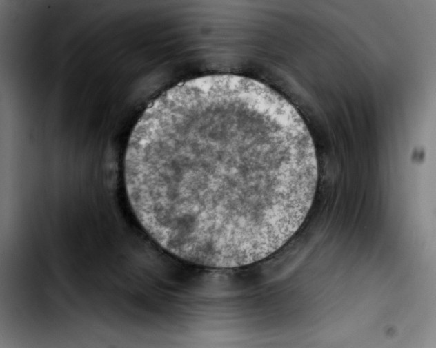 X0000103410080200810241218