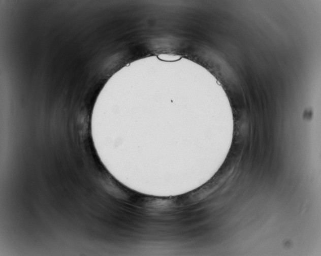 X0000103410081200810241218