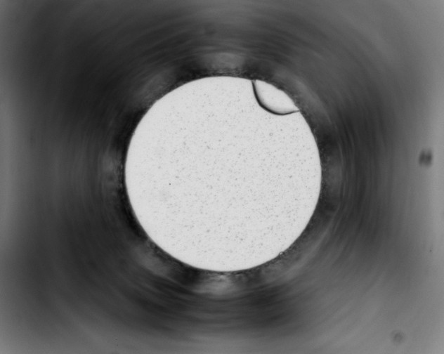 X0000103410083200810241218