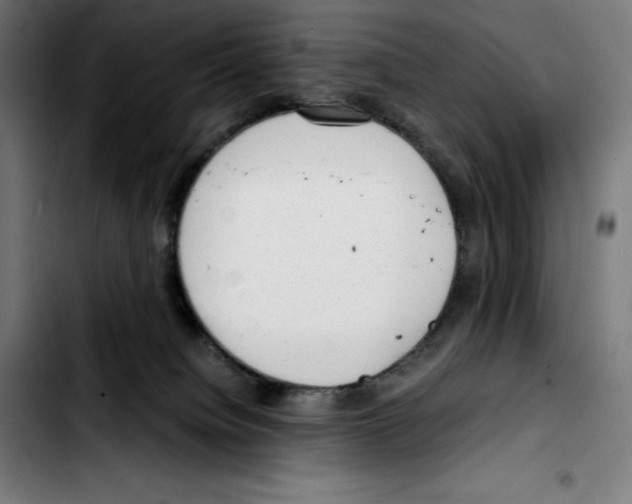 X0000103410084200810241218