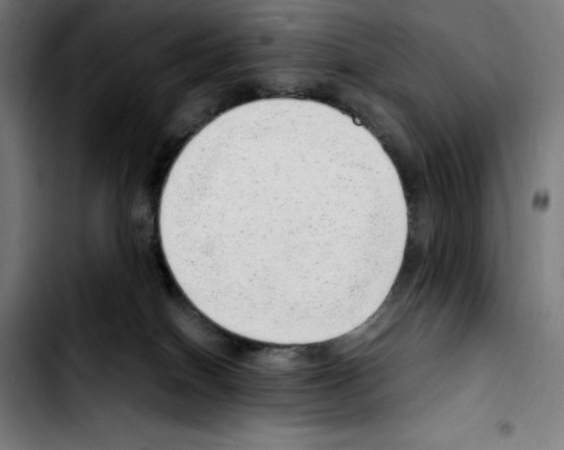 X0000103410086200810241218