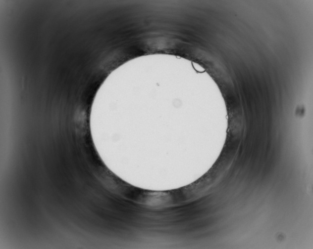 X0000103410087200810241218