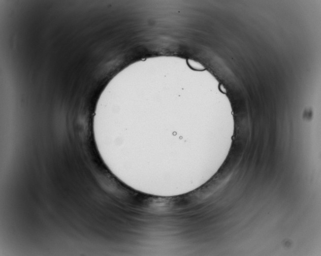 X0000103410088200810241218