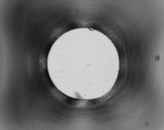 X0000103410090200810241218