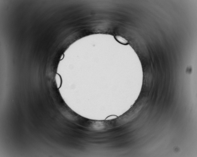 X0000103410091200810241218