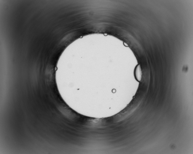 X0000103410092200810241218