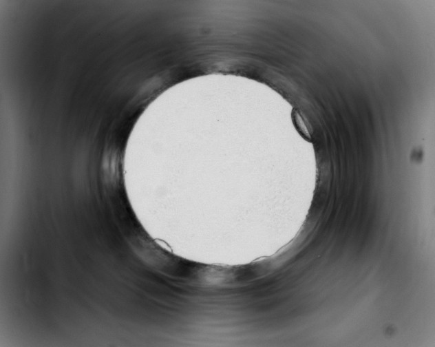 X0000103410094200810241218