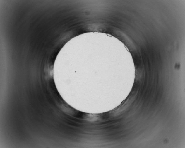 X0000103410095200810241218