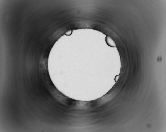 X0000103410096200810241218