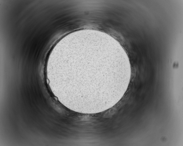 X0000103410098200810241218