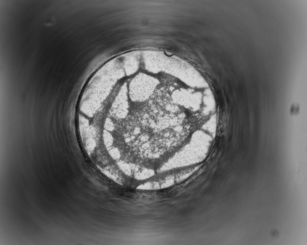 X0000103410099200810241218