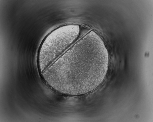 X0000103410100200810241218