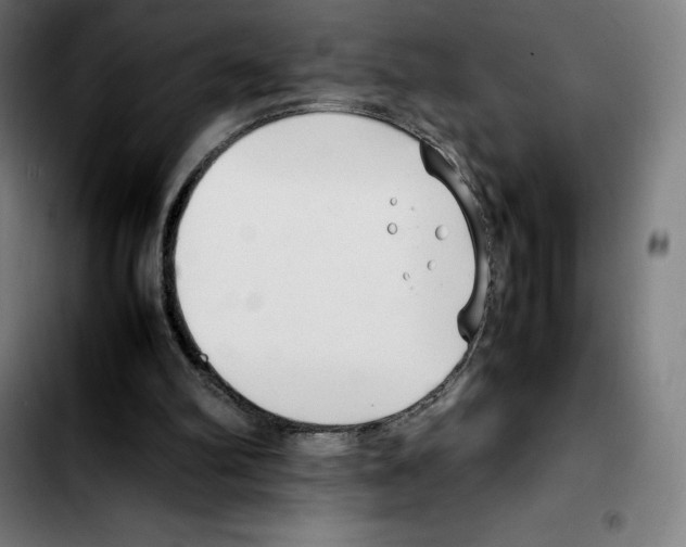 X0000103410102200810241217