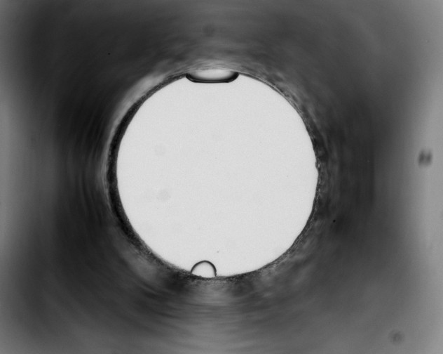 X0000103410104200810241217