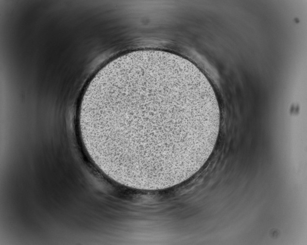 X0000103410107200810241217