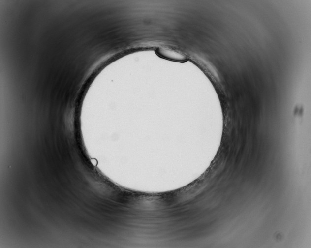 X0000103410108200810241217