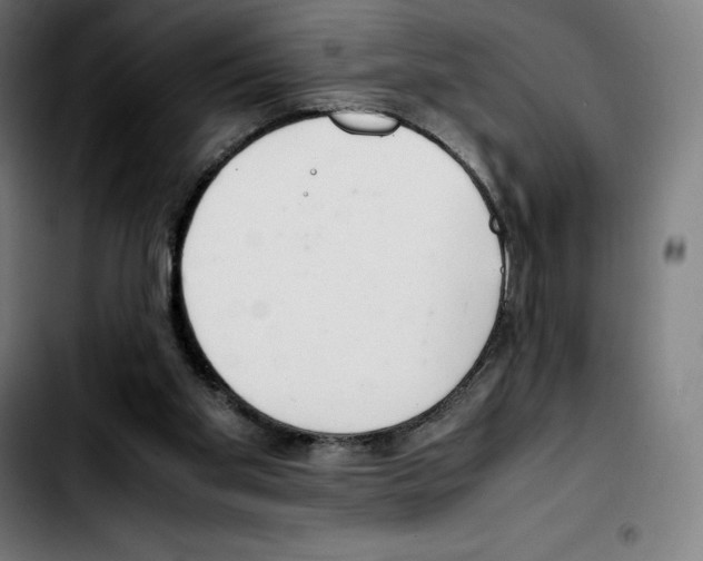 X0000103410109200810241217