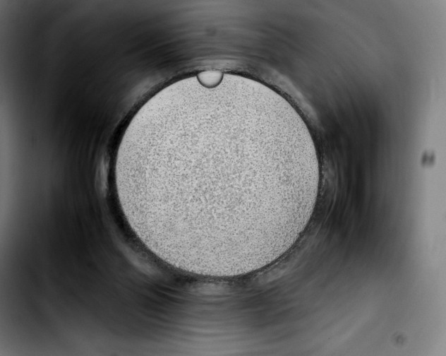 X0000103410110200810241217