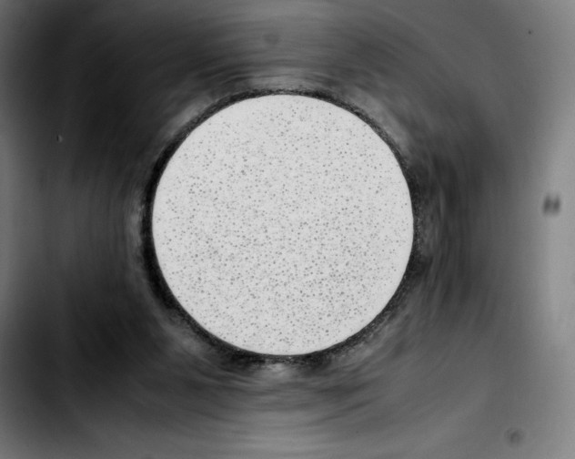 X0000103410111200810241217