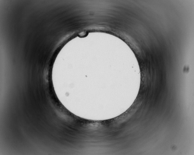 X0000103410112200810241217