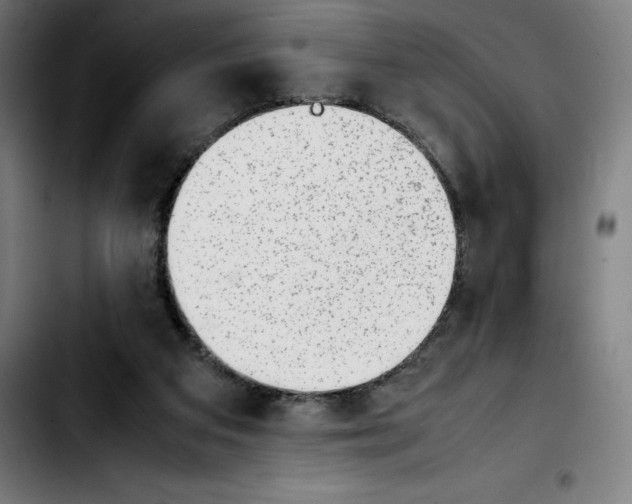 X0000103410113200810241217