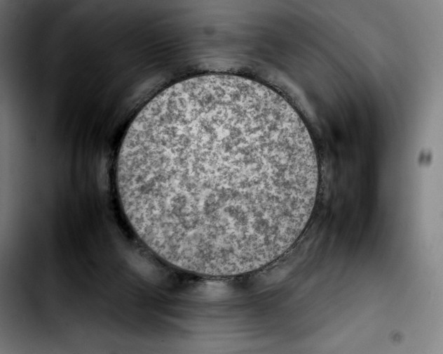 X0000103410114200810241217